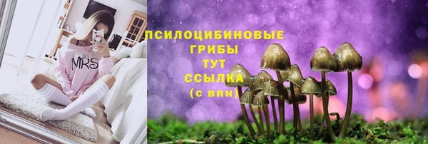 скорость Мегион