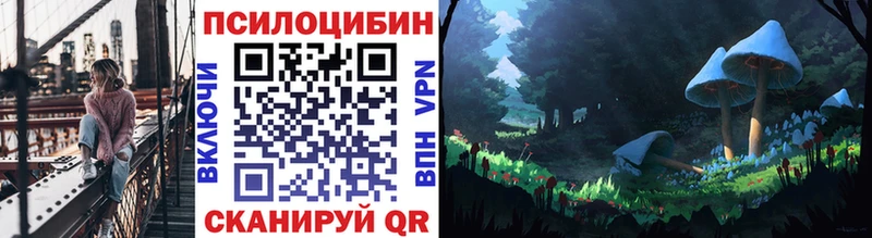 Псилоцибиновые грибы прущие грибы blacksprut ТОР Сясьстрой